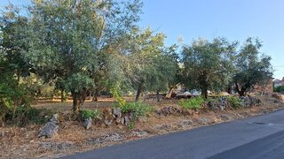 Land for sale in Ansião, Portugal — €30,000