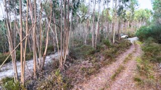 Land for sale in Tondela, Portugal — €7,200