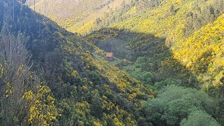 Land for sale in Góis, Portugal — €44,500