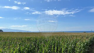 Land for sale in Ribeira Grande, Portugal — €375,000