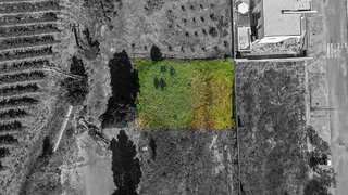 Land for sale in Torres Vedras, Portugal — €60,000