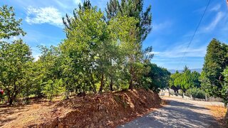 Land for sale in São Pedro do Sul, Portugal — €40,000