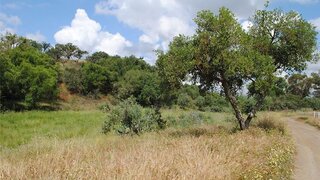 Land for sale in Odemira, Portugal — €90,000