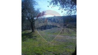 Land for sale in Nelas, Portugal — €40,000