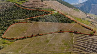 Land for sale in Sabrosa, Portugal — €120,000
