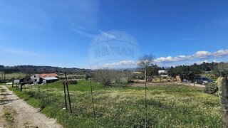 Land for sale in Mangualde, Portugal — €40,000