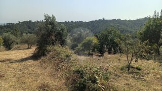 Land for sale in Sardoal, Portugal — €6,500