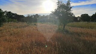 Land for sale in Torres Novas, Portugal — €58,500