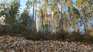 Terreno em Alvaiázere