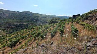 Terreno para venda em Santa Marta de Penaguião, Portugal — 20 000 €