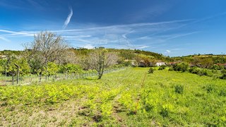 Land for sale in Condeixa-a-Nova, Portugal — €20,000