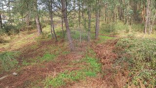 Land for sale in Penafiel, Portugal — €24,500