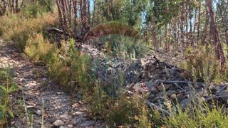 Land for sale in Sertã, Portugal — €15,000