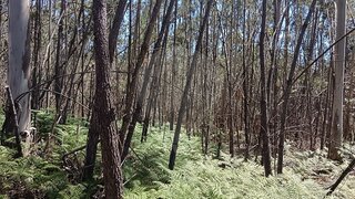 Land for sale in Pombal, Portugal — €2,500