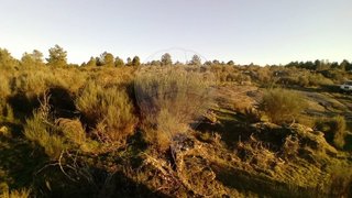 Terreno em Trancoso