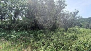 Land for sale in Trancoso, Portugal — €65,000