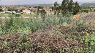 Land for sale in Anadia, Portugal — €49,900