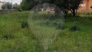 Land for sale in Pombal, Portugal — €91,150