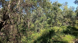 Land for sale in Pombal, Portugal — €4,500