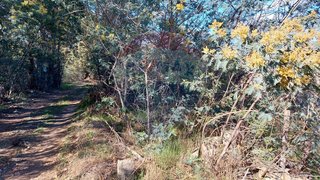 Land for sale in Penamacor, Portugal — €6,000