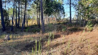 Land for sale in Aljezur, Portugal — €235,000