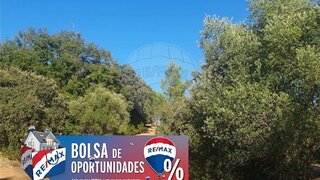 Land for sale in Torres Novas, Portugal — €5,500