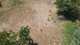 Terreno em Condeixa-a-Nova