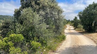 Land for sale in Torres Novas, Portugal — €45,000
