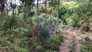 Land for sale in Amarante, Portugal — €66,500