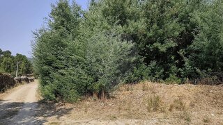 Terreno em Armamar