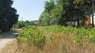 Land for sale in Tondela, Portugal — €16,000