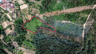 Land for sale in Penacova, Portugal — €4,205