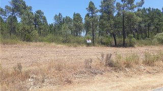 Land for sale in Sertã, Portugal — €55,000