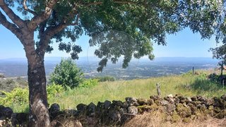 Land for sale in Tondela, Portugal — €15,000