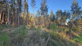 Land for sale in Batalha, Portugal — €13,000