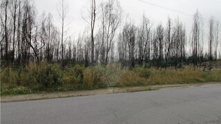 Land for sale in Oliveira de Frades, Portugal — €81,150