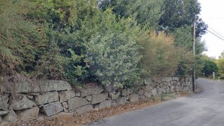 Land for sale in Vila Nova de Famalicão, Portugal — €120,000