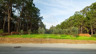 Land for sale in Pombal, Portugal — €204,000