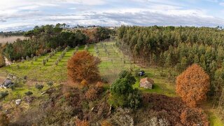 Land for sale in Nelas, Portugal — €110,000