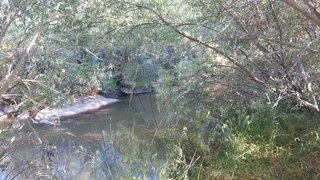 Land for sale in Penamacor, Portugal — €35,000