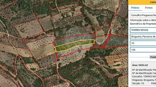 Terreno · 5360 m² · 6000 €