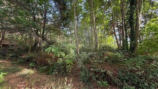 Land for sale in São Pedro do Sul, Portugal — €7,000
