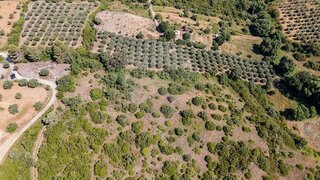 Land for sale in Torres Novas, Portugal — €7,000