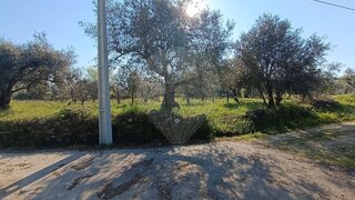 Land for sale in Penamacor, Portugal — €18,500