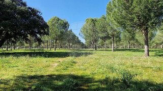 Land for sale in Palmela, Portugal — €650,000