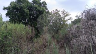 Land for sale in Penamacor, Portugal — €9,305