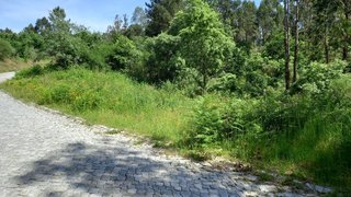 Land for sale in Marco de Canaveses, Portugal — €24,000