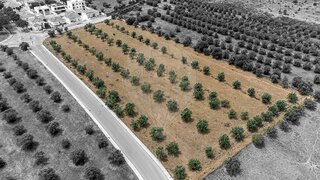 Land for sale in Reguengos de Monsaraz, Portugal — €400,000