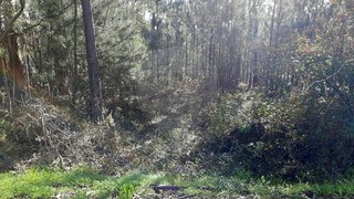 Land for sale in Pombal, Portugal — €7,000
