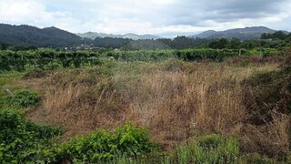 Land for sale in Ponte da Barca, Portugal — €28,000